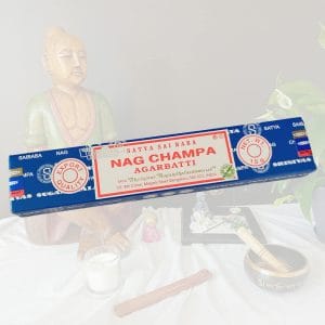 Une boite d'encens Satya nag champa en bâtonnets sur un fond zen et apaisant. Cet encens dans sa fameuse boite bleue est utilisé pour la méditation, la relaxation et la purification. Il améliore l'humeur et favorise le bien-être.
