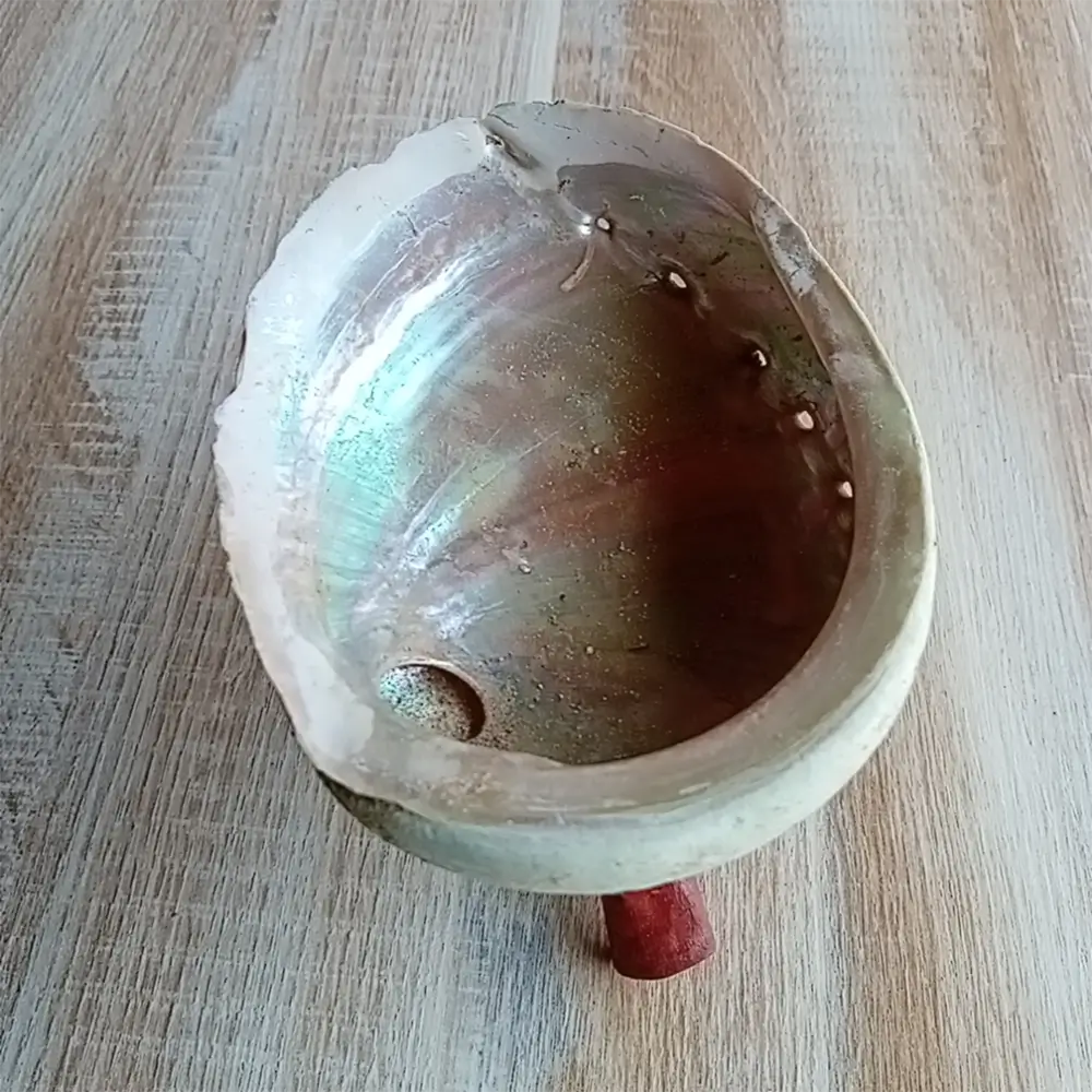 Image de la coquille d'ormeau Haliotis diversicolor présentée sur un trépied Cobra laqué rouge. Cette coquille d'ormeau est utilisée comme récipient pour faire brûler la sauge et le Palo Santo ou d’autres herbes sacrées lors de cérémonies de purification. Ces produits sont en vente chez Zen Aatma - boutique zen et ésotérique.