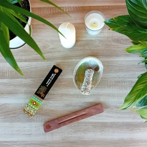 On peut voir une boite d'encens en bâtonnets Tribal Soul Sauge blanche et Palo Santo, un porte encens en bois simple, une coquille d'ormeau dans laquelle se trouve un fagot de sauge blanche. Il y a aussi deux bougies et des plantes vertes. L'ambiance de l'image est très zen. On peut trouver ces produits dans la boutique en ligne d'articles zen et ésotériques Zen Aatma.
